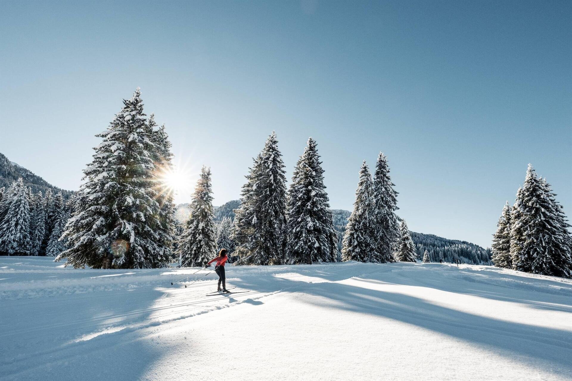 Ski Start 3