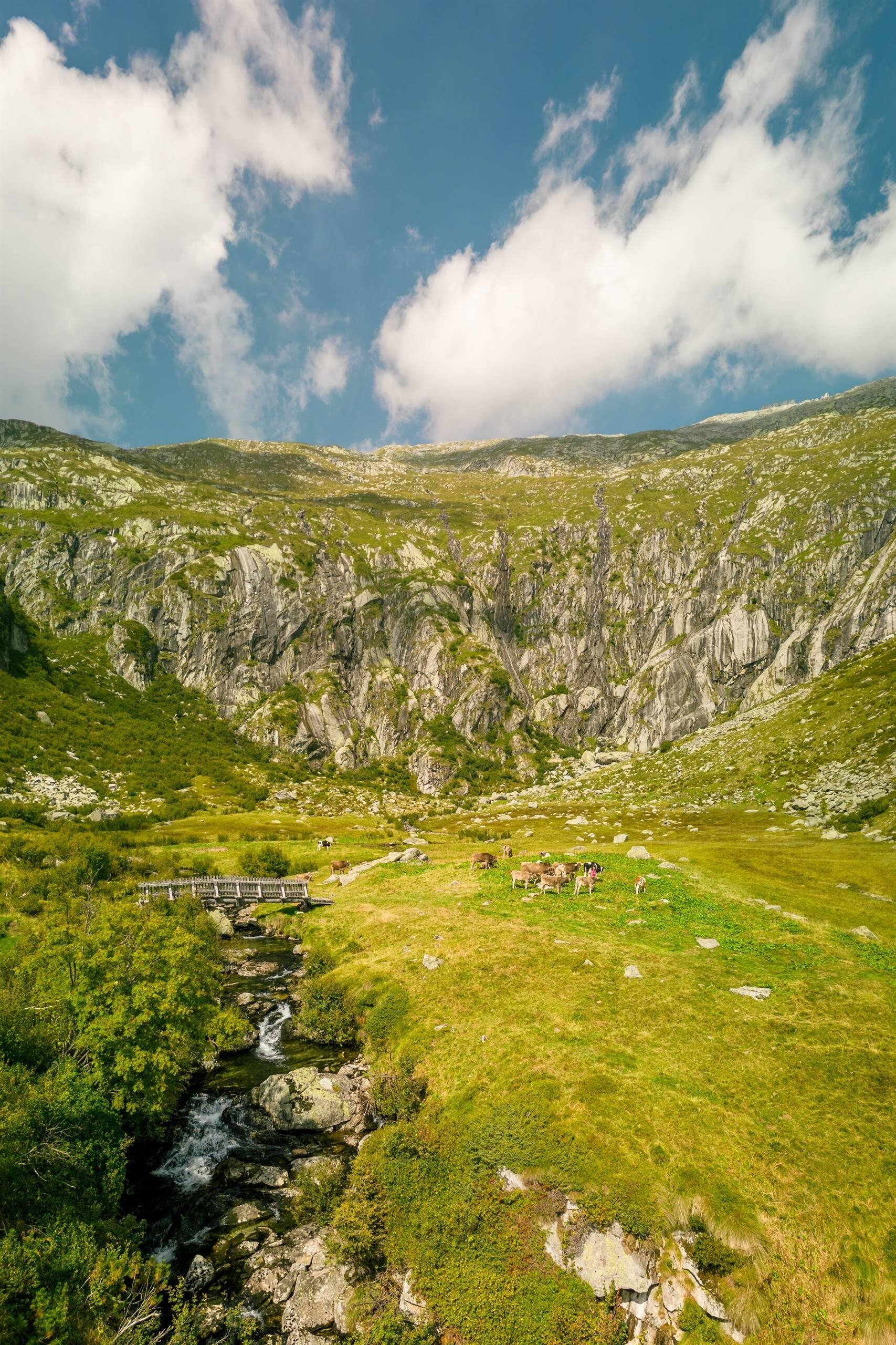 Una valle insieme - Trivena 3